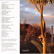 Back View : Joe Kaptein - ETERNAL AFTERNOONS (LP, LTD) - SARANG BANG RECORDS / SBR038