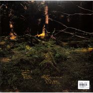 Back View : Anna B Savage - YOU & I ARE EARTH (LTD TRANSPARENT CLEAR LP) - City Slang / SLANG50579X