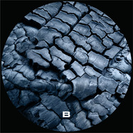 Back View : Usaw - NOT A REASON EP (INC CLERIC REMIX) - Fusion Of Thought / FOT002