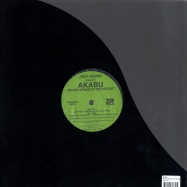 Back View : Akabu - IM NOT AFRAID OF THE FUTURE - Z Records / Zedd12085