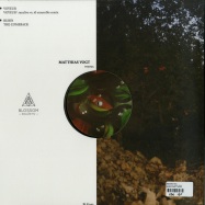 Back View : Matthias Vogt - VOYEUR EP (VINYL ONLY) - Blossom Kollektiv / BLK030