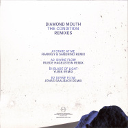 Back View : Diamond Mouth - THE CONDITION REMIXES (FRANKEY & SANDRINO, RUEDE HAGELSTEIN, YUBIK, JONAS SAALBACH RMXS) - Radikon / RDKN31
