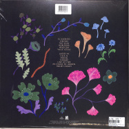 Back View : Jose Gonzalez - LOCAL VALLEY (LTD TRANSLUCENT GREEN LP+MP3) - City Slang / SLANG50374X
