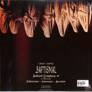 Back View : Laraaji & Kramer - BAPTISMAL (LTD CRYSTAL CLEAR LP) - Joyful Noise Recordings / 00158520