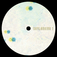 Back View : SL Jung - COHERENCE - Skylarking / SL01