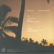 Back View : Fabulous Lover - REMEMBER THE FUTURE EP (FEAT PETE HERBERT, RAYKO REMIXES) - Music For Swimming Pools / MFSP 009