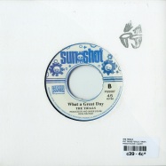 Back View : The Tidals - PUT THOSE FOOLS (7 INCH) - Pressure Sounds / pss087