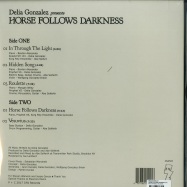 Back View : Delia Gonzalez - HORSE FOLLOWS DARKNESS (LP + MP3) - DFA / DFA 2522 / 00110303