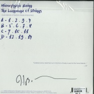 Back View : Hieroglyphic Being - THE LANGUGAGE OF STRINGS (LTD GREY MARBLED 2X12 LP) - Mathematics / MRI105LTD