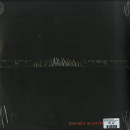 Back View : Bersarin Quartett - BERSARIN QUARTETT (180G 2LP + MP3) - Denovali / DEN048LP / 00042963