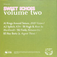 Back View : Various Artists - SWEET ECHOES VOL.2 (LP) - Outer Time Inner Space / OTIS007