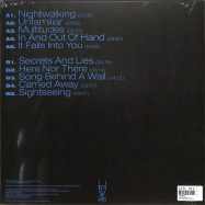 Back View : Tempers - NEW MEANING (LP) - Dais / DAIS193LP / 00150123