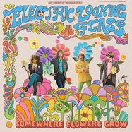 Back View : Electric Looking Glass - SOMEWHERE FLOWERS GROW (LP) - We Are Busy Bodies / LPWABBL80