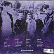 Back View : Blueboy - SINGLES 1991-1998 (2LP+INSERT) - A Colourful Storm / CLEARER001