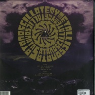 Back View : Soundgarden - SATANOSCILLATEMYMETALLICSONATAS (LP) - AM Records / 5642599