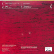 Back View : Rafael Anton Irisarri - PERIPETEIA (LTD RED LP) - Dais / DAIS150LPC / 00140034