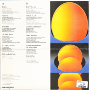 Back View : Holy Hive - FLOAT BACK TO YOU (LP) - Big Crown / BCR078LP / 00140424