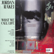 Back View : Jordan Rakei - WHAT WE CALL LIFE (LP+MP3+POSTER) - NINJA TUNE / ZEN276