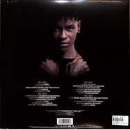 Back View : OST / Various - BLACK PANTHER: WAKANDA FOREVER (LTD.BLACKICE 2LP) - Hollywood Records / 8752042