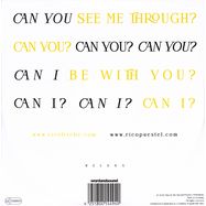 Back View : Rico Friebe - CAN I BE WITH YOU? (RICO PUESTEL SUMMER NOSTALGIA DUB) - Time In The Special PracticeOfRelativity / RELS6X