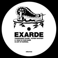 Back View : Transparent Sound - Potent Mystery (Incl. Acidulant & Ben Pest Remixes) (2LP) - Exarde / XRDLP008