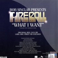 Back View : Bob Sinclar Pres. Fireball - WHAT I WANT - Hedonism / hed026
