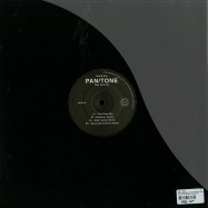 Back View : Pan / Tone - STAY HRDVISION (N.GIBLER RMXS, DANNY BENEDETTINI RMX) - We Have Friends Music / WHFM002