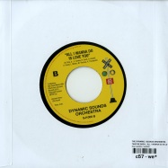 Back View : The Dynamic  Sounds Orchestra - TAKE ME BACK / ALL I WANNA DO IS LOVE YOU (7 INCH) - Soul Junction / sj1000