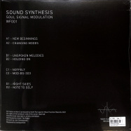 Back View : Sound Synthesis - SOUL SIGNAL MODULATION (2LP) - Wave Function / WF01