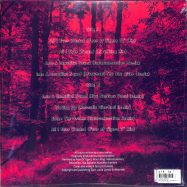 Back View : Lucca Leeloo - BEYOND INFINITY REMIXES (LP) - Lucca Leeloo / LLE002