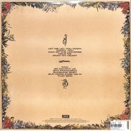 Back View : The Teskey Brothers - RUN HOME SLOW (180G VINYL) (LP) - Vertigo Berlin / 7782301
