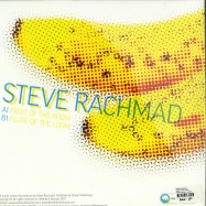 Back View : Steve Rachmad - FRUIT OF THE ROOM - Wolfskuil Records / wolf021