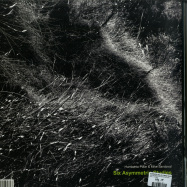 Back View : Humberto Polar & Mike Sandoval - SIX ASYMMETRIC STUDIES (LP) - Otono / OTN008
