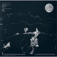 Back View : Anenon - DREAM TEMPERATURE (LP, CLEAR VINYL) - Tonal Union / TU018LE