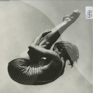 Back View : Andy Stott - LUXURY PROBLEMS (2X12 LP) - Modern Love / love 79 LP
