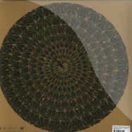 Back View : Pantha Du Prince & The Bell Laboratory - ELEMENTS OF LIGHT (LP + BONUS CD) - Rough Trade 974701