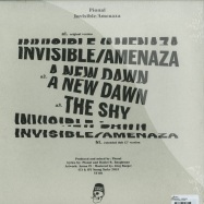 Back View : Pional - INVISIBLE / AMENAZA - Young Turks / YT 101