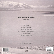 Back View : Between Sleeps - FANTASIA (LP) - Another Moon / AMOON001