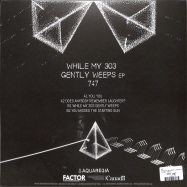 Back View : 747 - WHILE MY 303 GENTLY WEEPS EP - Aquaregia / AQR017