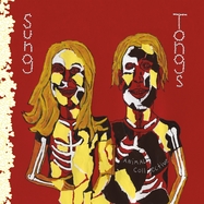 Back View : Animal Collective - SUNG TONGS (LTD 20TH ANNIVERSARY EDITION 2LP COL.) - Domino Records / AC006LPX