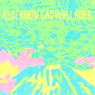Back View : Algernon Cadwallader - TRYING NOT TO HAVE A THOUGHT (LP) (SHARPIE YELLOW LP) - Saddle Creek / LBJ400LPC1