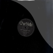 Back View : Che Nelle - HURRY UP / I FELL IN LOVE WITH THE DJ - Positiva / 12tiv269