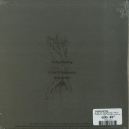 Back View : Young Hunting - A LIST OF INDIGNITIES (GREY 7 INCH) - Persephonic Sirens / Persephonic Sirens 04 / 21315