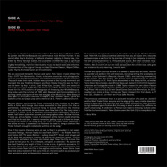 Back View : Gray - NEVER GONNA LEAVE NEW YORK CITY - Anasyrma Record Label / ANAS1201