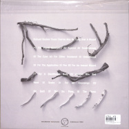 Back View : Richard Skelton - THESE CHARMS MAY BE SUNG OVER A WOUND (2LP) - Phantom Limb / PHNTM15LP
