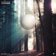 Back View : Command Strange - MYSTERY EP - V Recordings / PLV132