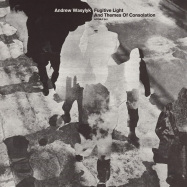 Back View : Andrew Wasylyk - FUGITIVE LIGHT AND THEMES OF CONSOLATION (LP) - Athens Of The North / AOTNLP041