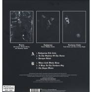 Back View : Darkthrone - A BLAZE IN THE NORTHERN SKY (LP) - Peaceville / 1070281PEV