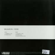 Back View : Baumann / Koek - BAUMANN / KOEK (LP) - Bureau B / BB217 / 05117411