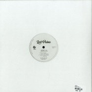 Back View : Demuja - SOUL BROTHER - Lost Palms / PALMS013